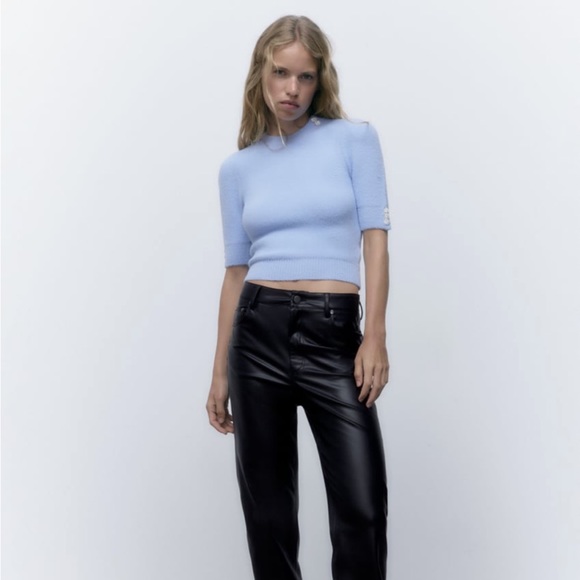 Periwinkle Zara JEWEL BUTTON KNIT SWEATER
Size L - Picture 1 of 10